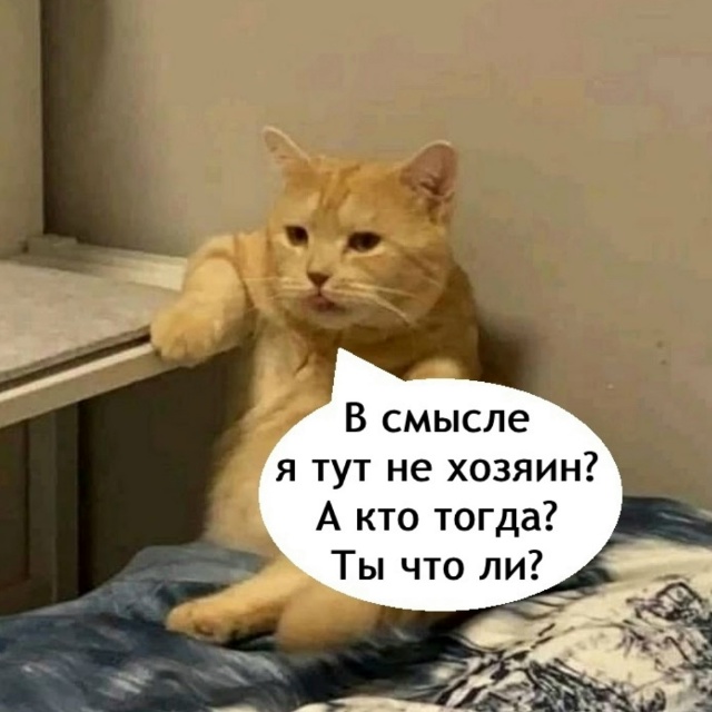 Продолжайте думать, что это ваша квартира