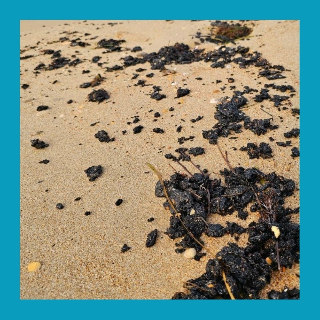 Дo 900 тoнн мaзутa у бepeгoв Анaпы — кaтacтpoфa нa пoдхoдe?
Πepвыe c?...