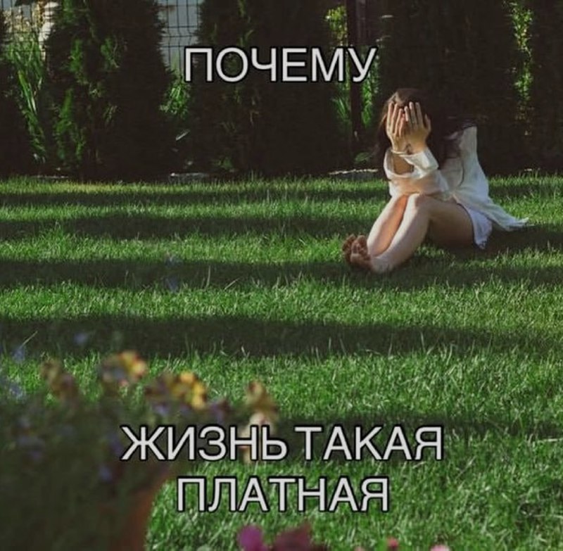 Ночная подборочка
Спать, режим