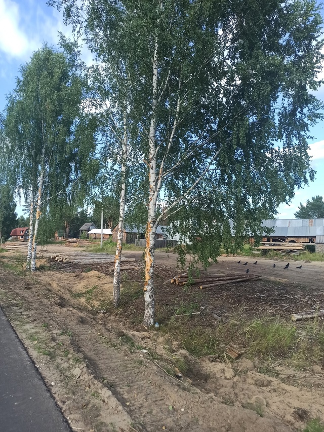 Пожалуйста анонимно.
[club167089136|@vsk_adm], прошу прокомментир...