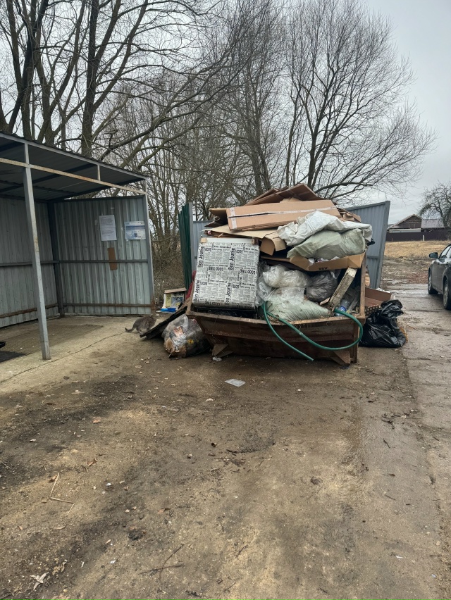 Госпожа Козлова Наталья Юрьевна! Приглашаю Вас как гла...