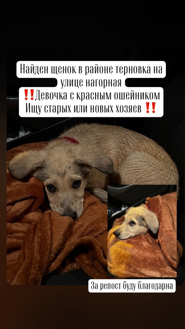 Связаться по номеру 89674416333