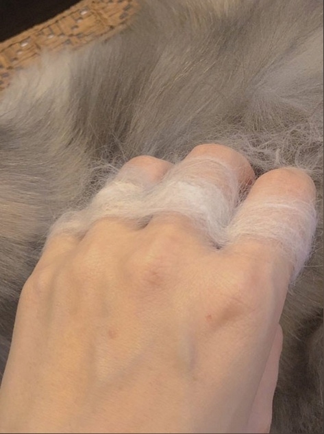 КОШтет или Шерстет)))