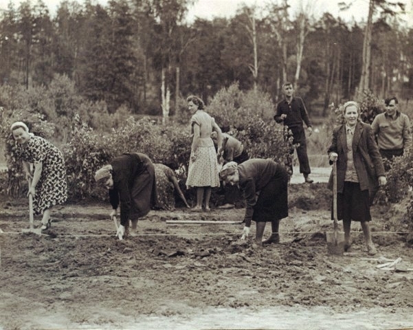1965 год. Закладка новой аллеи напротив ж/д станции Балаш...