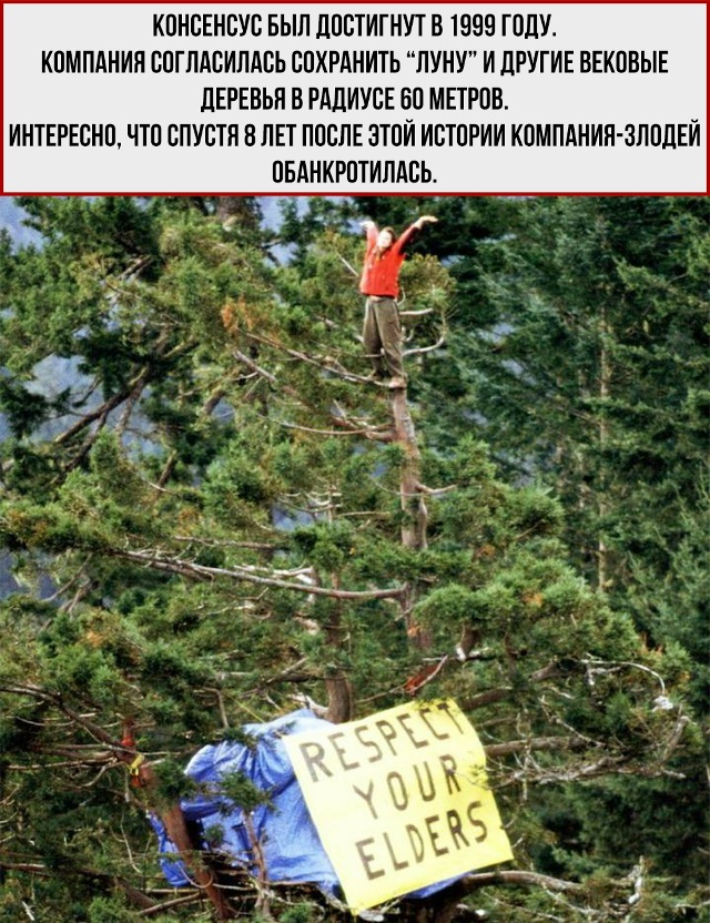 Эта история - напоминание, что один человек с сильной в?...