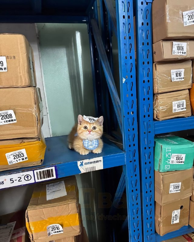 Покупка, о которой не жалеешь