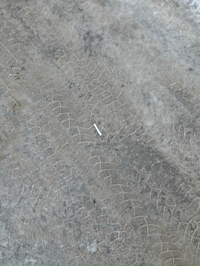 СВИН🐽, ПРИЕДЬ И УБЕРИ ЗА СОБОЙ ‼️‼️‼️🐽🐽🐽🐽🐖🐖?...