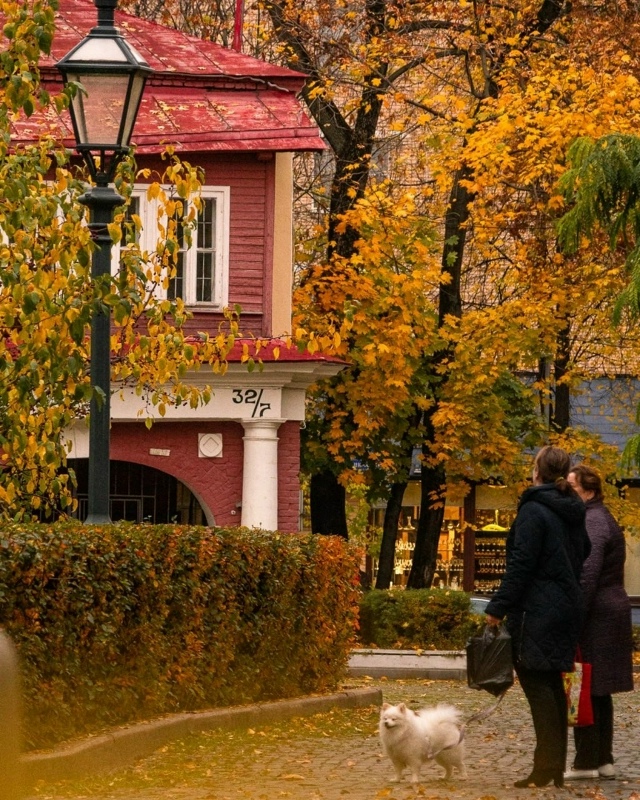 Осенняя Пречистенка 🍁.
Фото: tanushka_mar