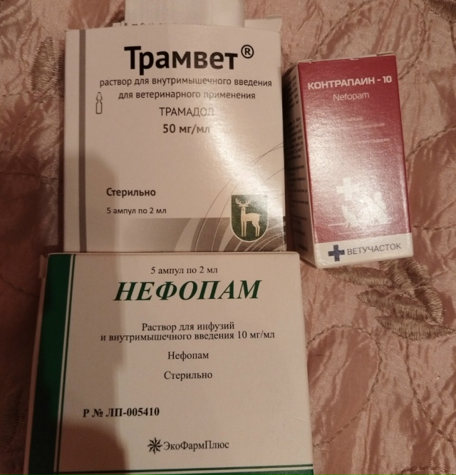 СРОЧНО!!! Для Султана требуется сильное обезболивающее...