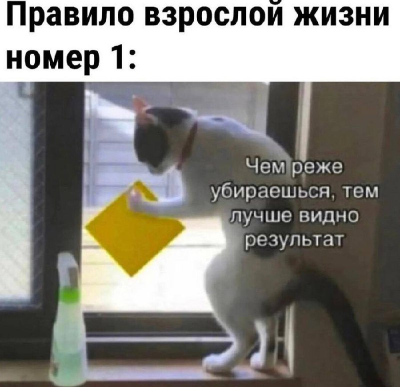 Зумер чуть не умер после первой уборки в своей жизни
20-летний парень надышался пылью и чуть не зад