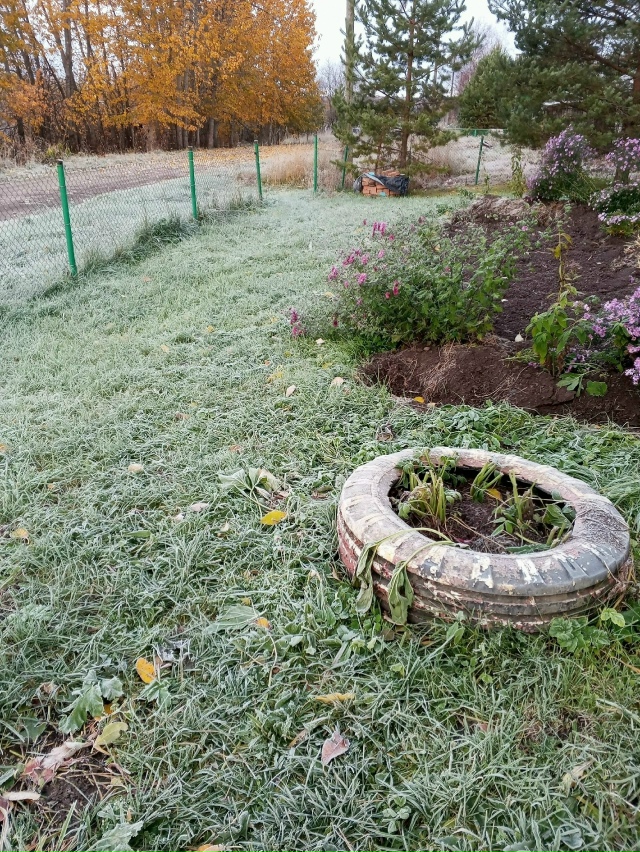 Первые заморозки-крaсиво 🌿🍁Листья В серебряной крaс?...