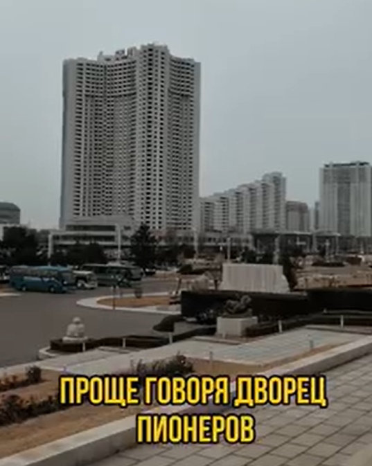 Школы в Северной Корее напомнили мужчине зоопарк с дет...