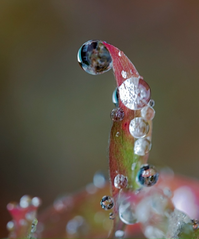 В эти дни стоит унылая, пасмурная погода, небо