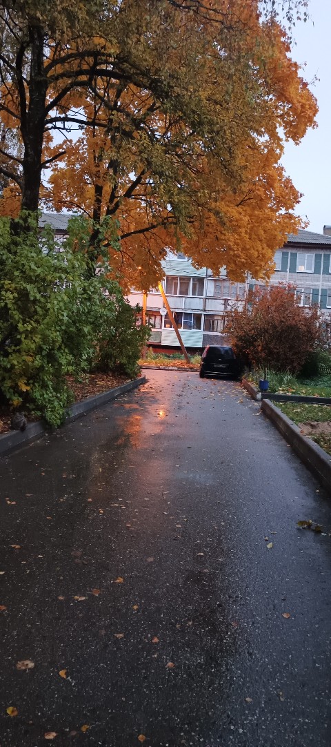 Немного грустной осени вам всем. Всё будет хорошо🍂🍁?...