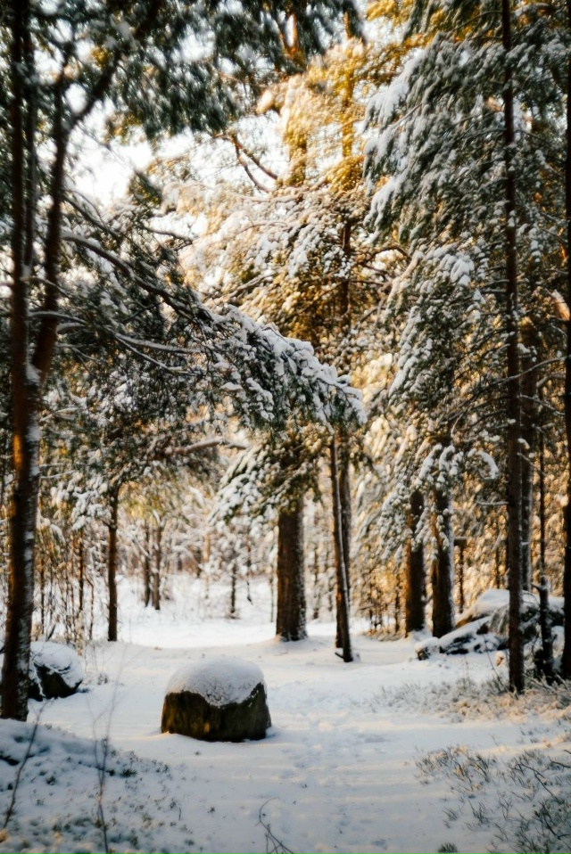 Прекрасных выходных, северяне ❄️
📷 Ольга Несмиянова