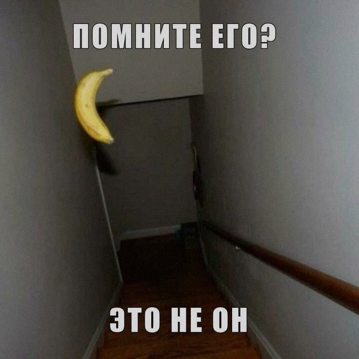 Ночная подборочка
Выходные, не спим