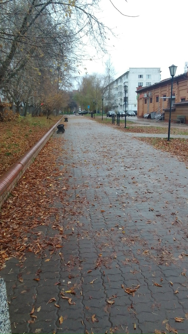 ❗❗❗Позор тем кто должен следить за порядком на алле?...