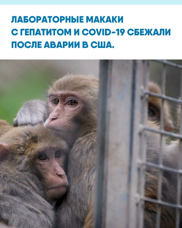 В Пенсильвании после ДТП перевернулся грузовик с подо?...