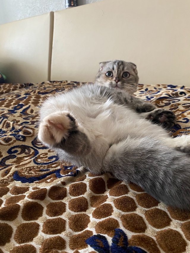 Посидеть подумать?
Помыться хорошо ?
И спать можно ...