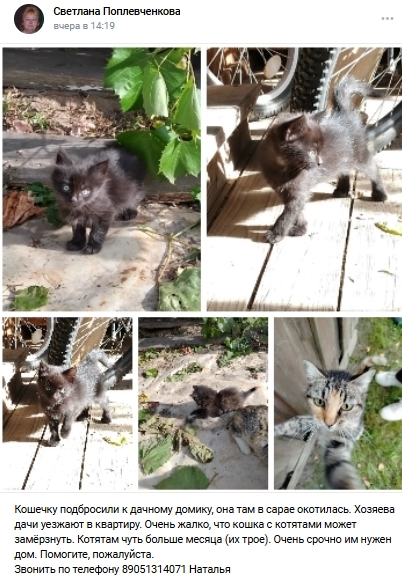 Пост добра. Распространите, пожалуйста.