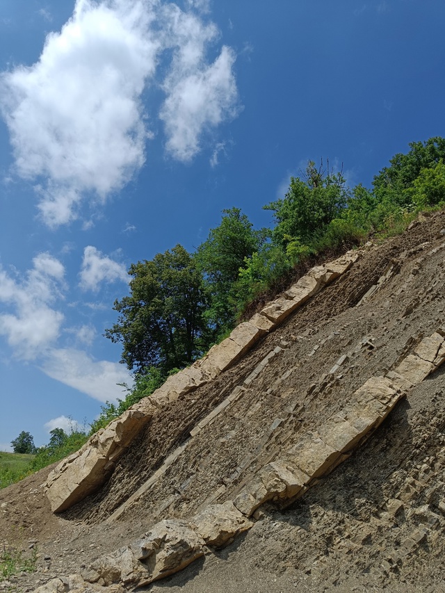 Ягодный поход с подругой, который стал путешествием во...