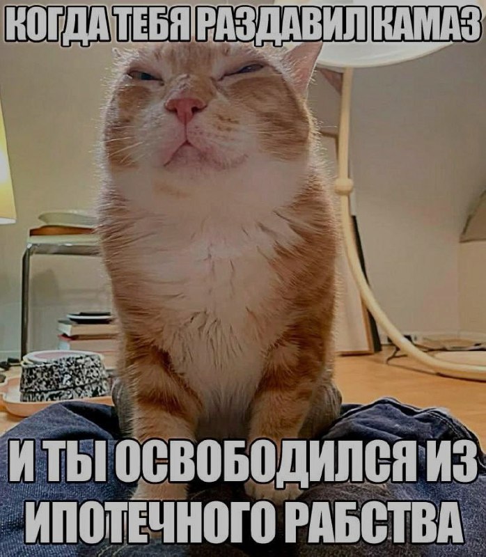 Ночная подборочка
Спать, режим
