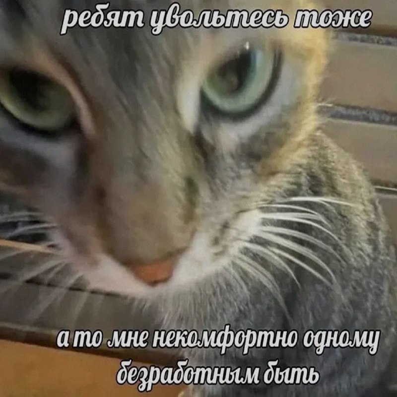 Ночная подборочка
Спать, режим