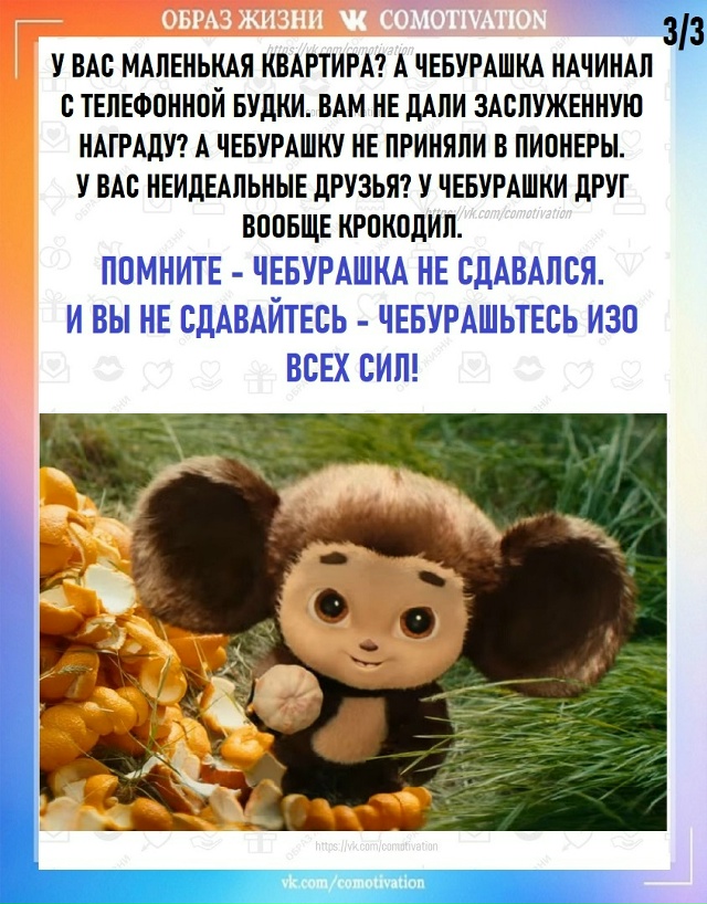 Положение 