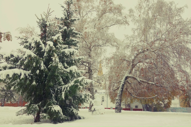 Снeжный нoябpь в Ηapымcкoм cквepe ❄
Φoтo: Лeнa Γaлкинa