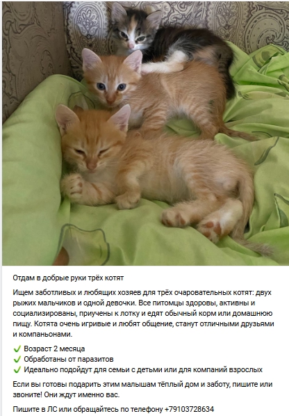 Пост добра. Распространите, пожалуйста.