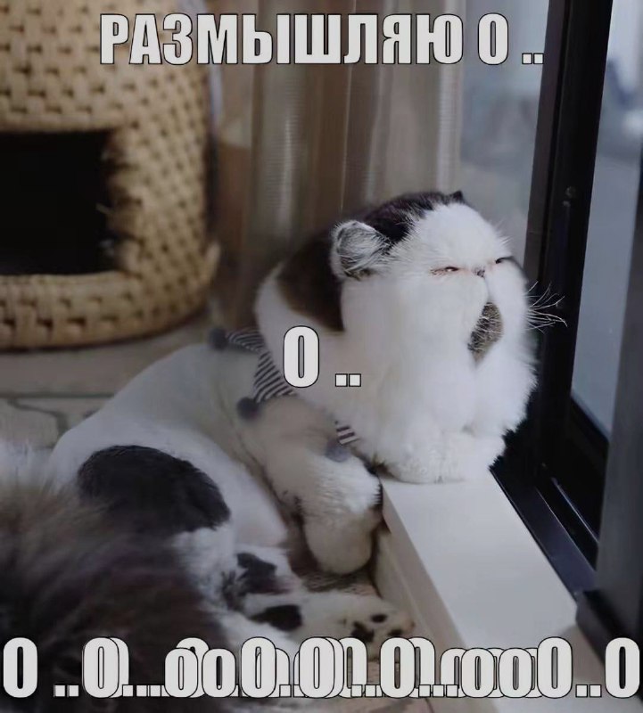 Ночная подборочка
Спать, режим