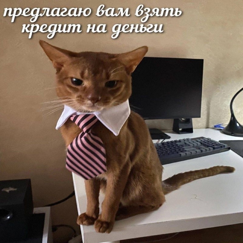 Утренняя подборочка