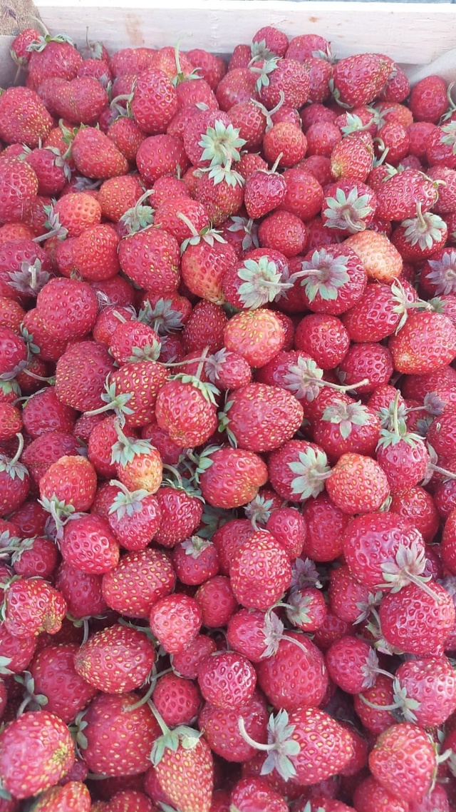 ⚠?⚠?⚠?⚠?⚠? Жители г. Лангепас!!!! Последний зав...