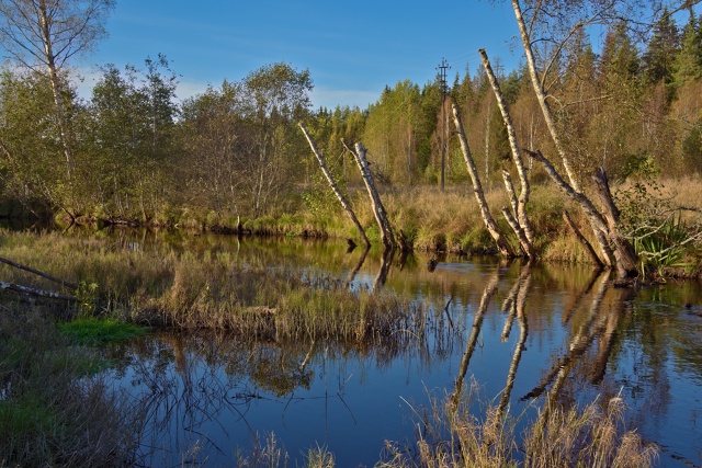 Доброго утра, Никольск❤