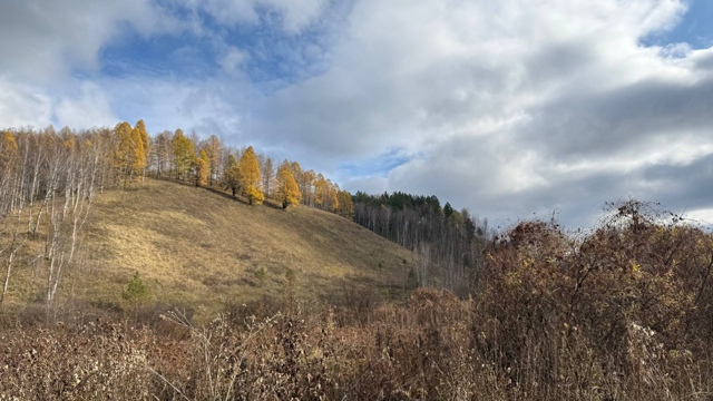 Доброе утро, любимый район! Всем - хорошего дня!