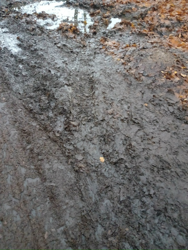 Слуги народа, ни у кого дети или внуки не посещают детс?...