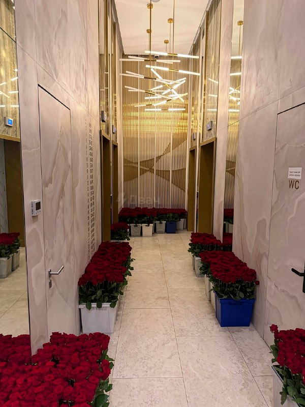 Москвич заплатил 70 миллионов рублей за признание в любви
Курьеры всю ночь таскали миллион роз и за