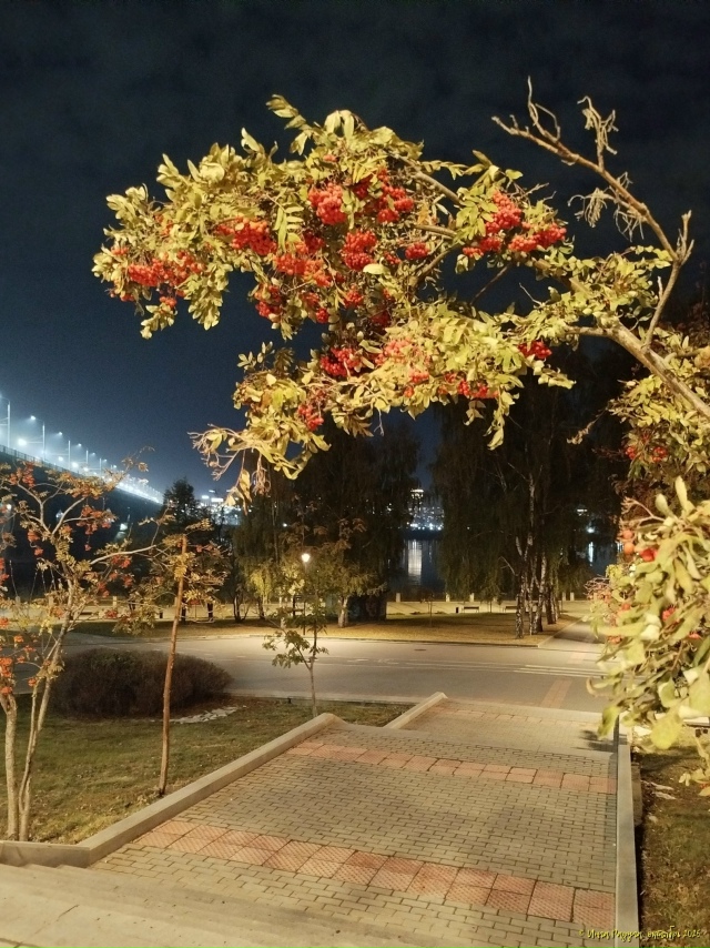 ✨ Ηoчнoй Ηoвocибиpcк. Μeтpo 