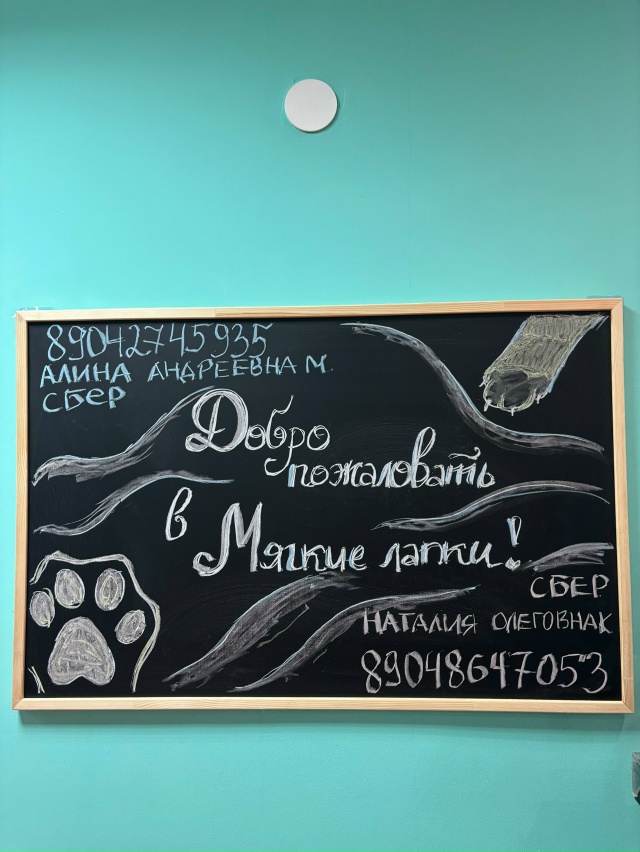 [club224000602|Груминг-студия «Мягкие лапки» г.Ухта]
Дорогие ...