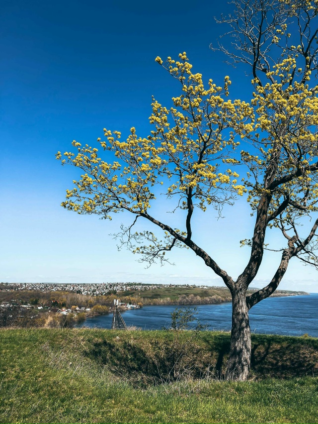 Красивые места Самарской области