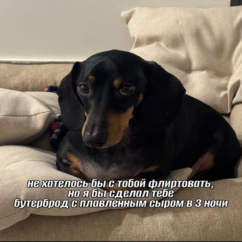 Утренняя подборочка
