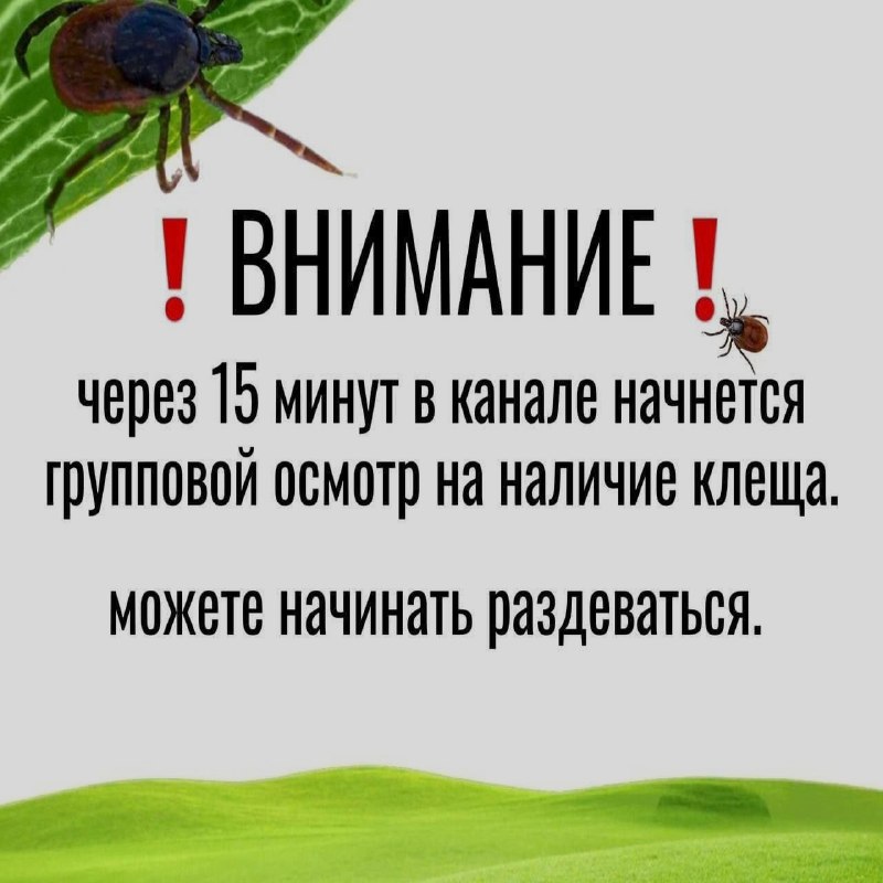 Ночная подборочка
Выходные, не спим