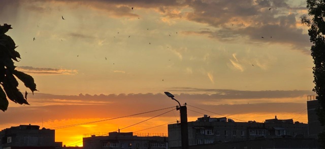 Еще немного фото от наших подписчиков 📸