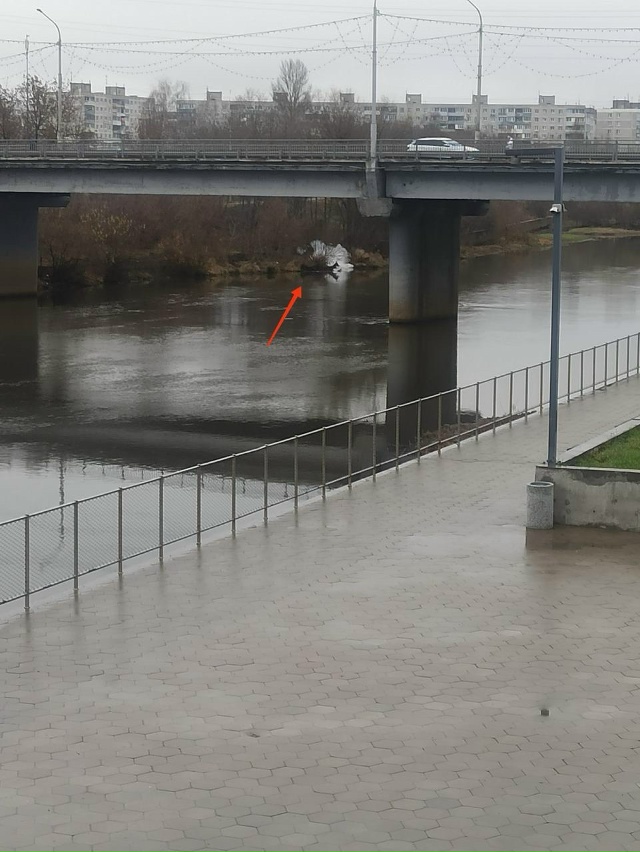 Может вы знаете, что за пена уже второй день поступает ?...