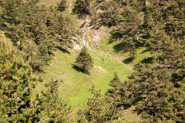 Более 180 млн рублей до конца 2028 года будет направлено в ...