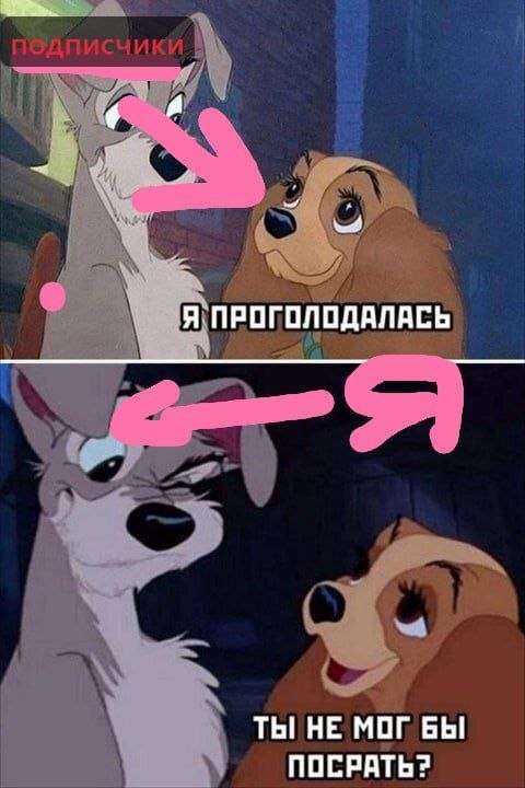 Дуров и его подписчики