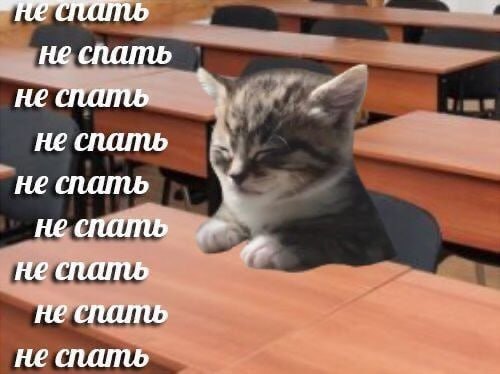 Утренняя подборочка