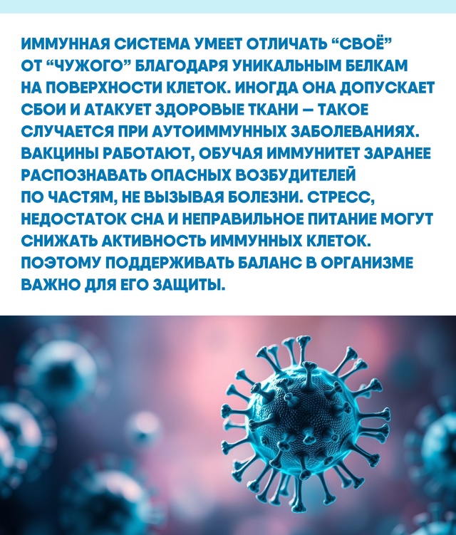 Иммунитет постоянно учится и совершенствуется, подстр...