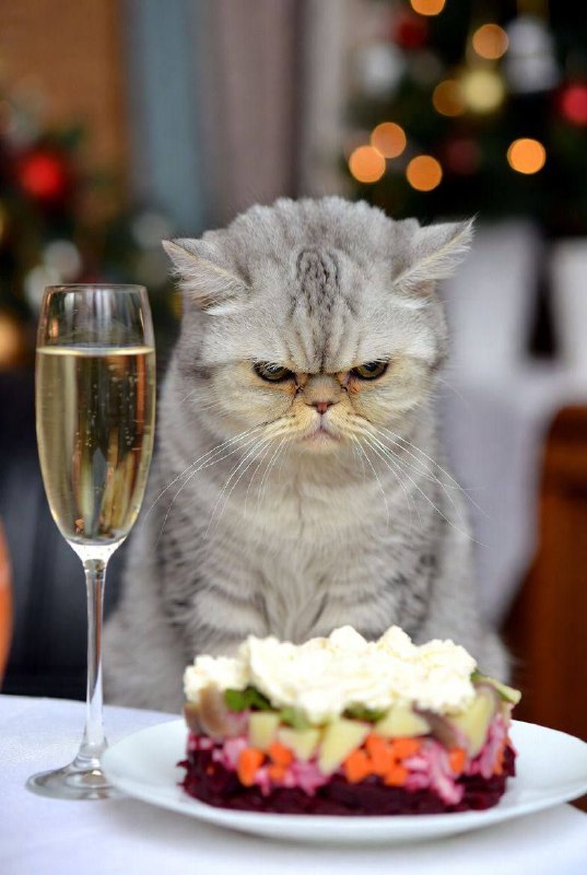 День вечно недовольных людей отмечается сегодня.
Поздравляем тех самых знакомых.