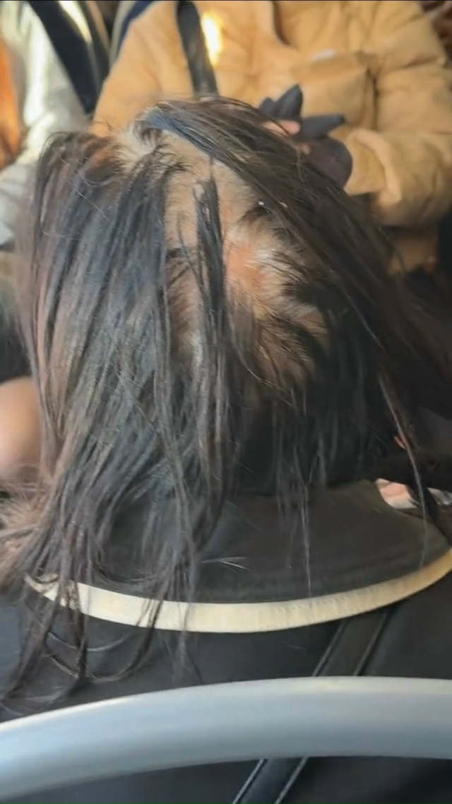 Дама, Вам не стыдно ездить в автобусе с таким гнездом н?...